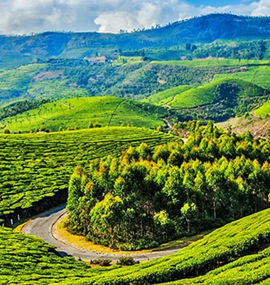 Coonoor and Ooty view
